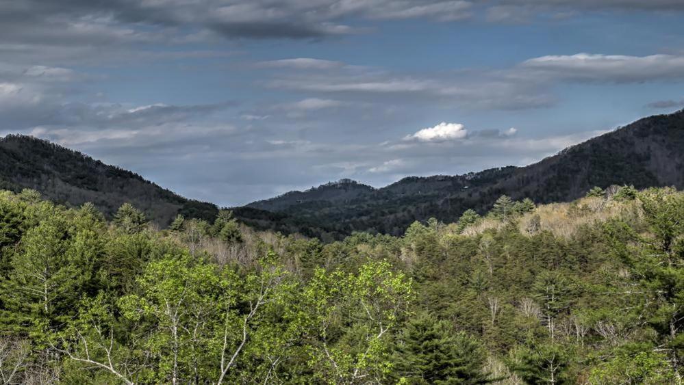 Honey Bear Lodge Blue Ridge Dış mekan fotoğraf